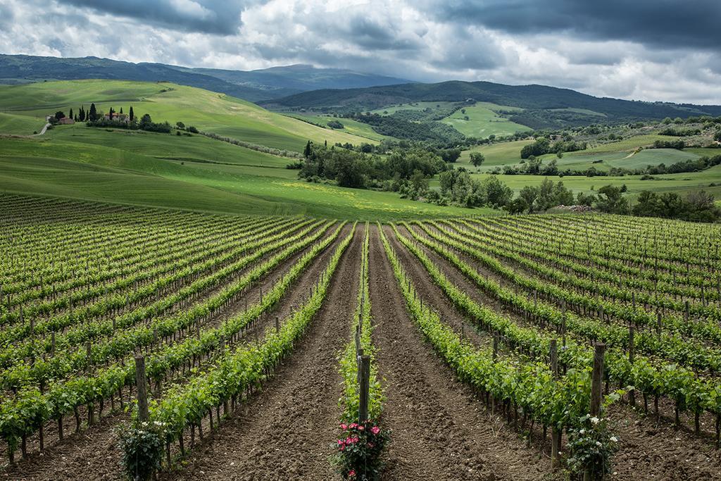 Agriturismo Poggio Istiano บาโญวีโญนี ภายนอก รูปภาพ